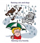 Weather idioms: raining cats and dogs