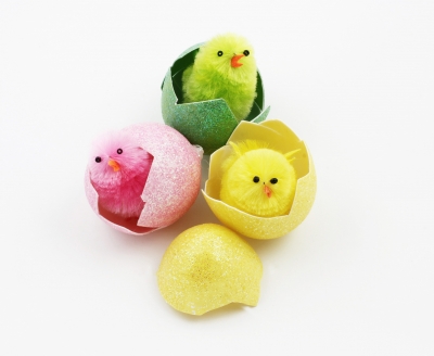 Easter idioms: chicks