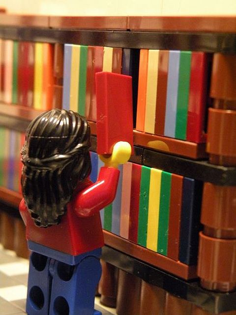 Lego librarian: career choices
